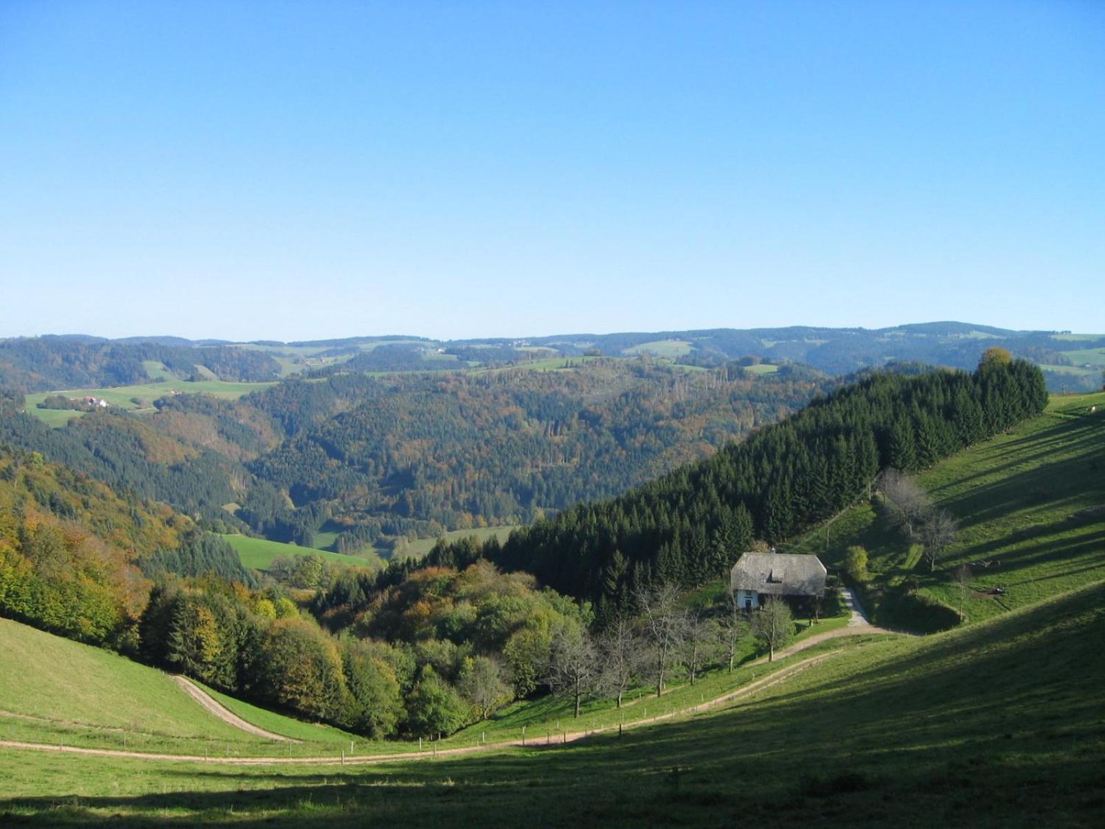 Zur Traube Schwarzwaldhotel & Restaurant Am Titisee Санкт-Мерген Экстерьер фото